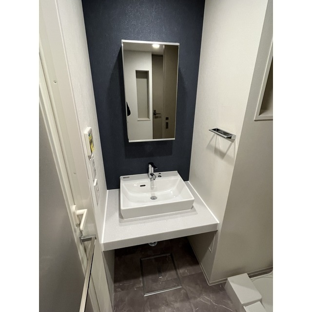 コンフォリア・リヴ北浜淡路町の独立洗面台