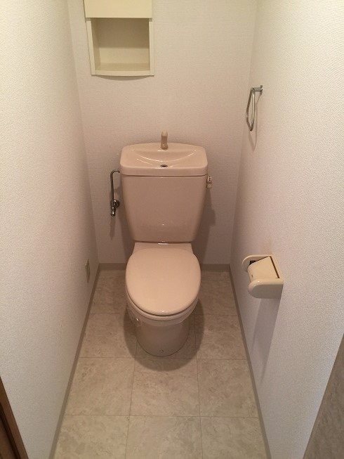 和泉市伯太町４丁目の賃貸マンションのトイレ|落ち着いたトイレです