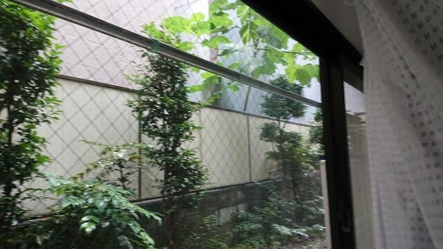 いちごパレスの展望