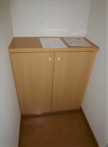 アイビーコート弐番館のその他|きれいな玄関です