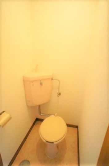 ネオステージ3のトイレ|落ち着いたトイレです