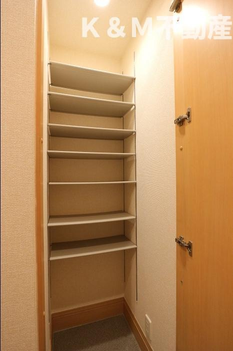 ハピネス　ストームの収納|収納豊富です