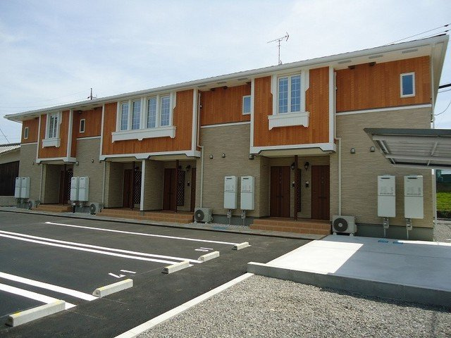 ジプソフィーラ　Ｂ