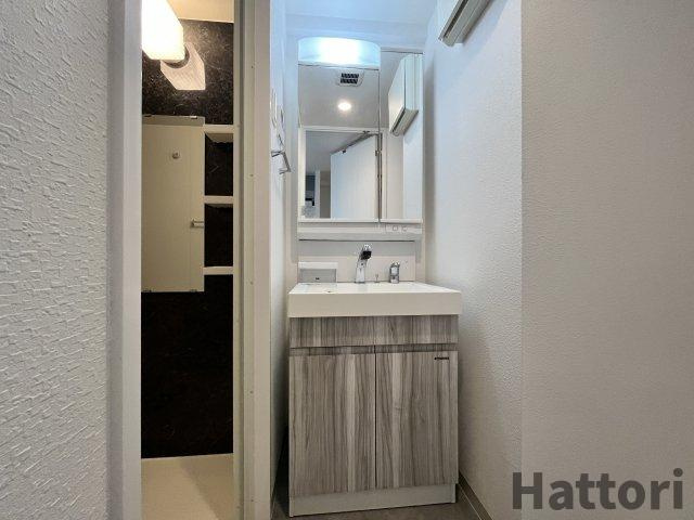 吹田市江坂町１丁目の賃貸マンションの洗面所