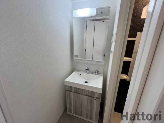 S-RESIDENCE江坂Eminenceの洗面所