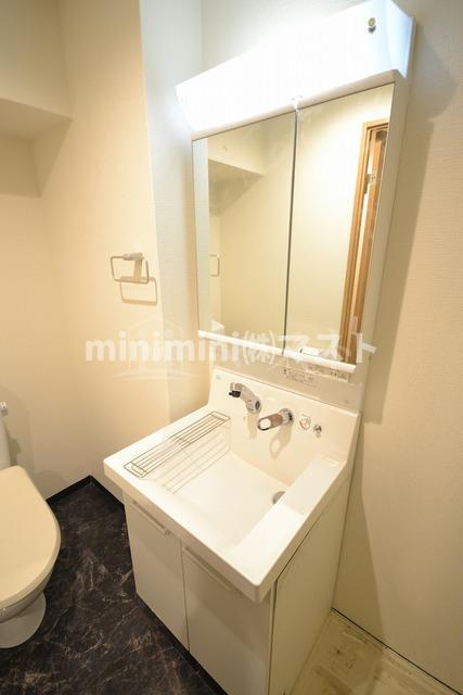 ティアラコート　ウエストの洗面所