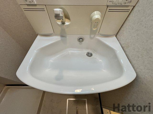 メゾン・ド・ファミールの洗面所