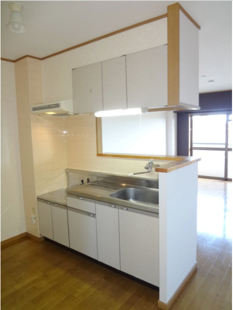 エクセレント合川Iのキッチン