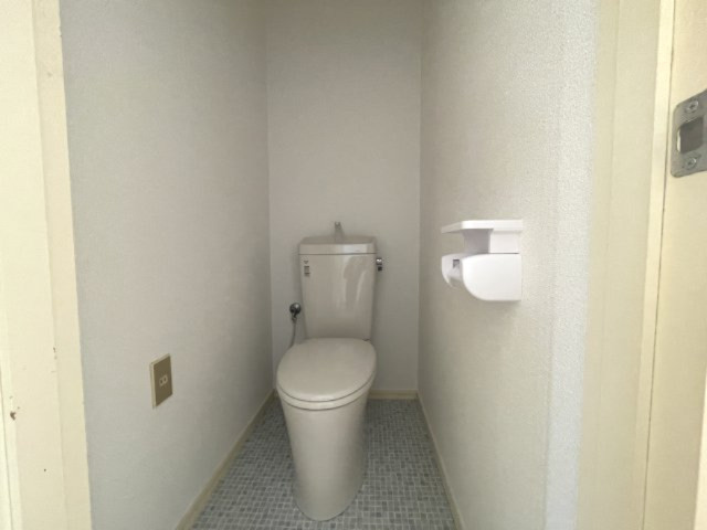 メゾン・ジュメールB棟のトイレ