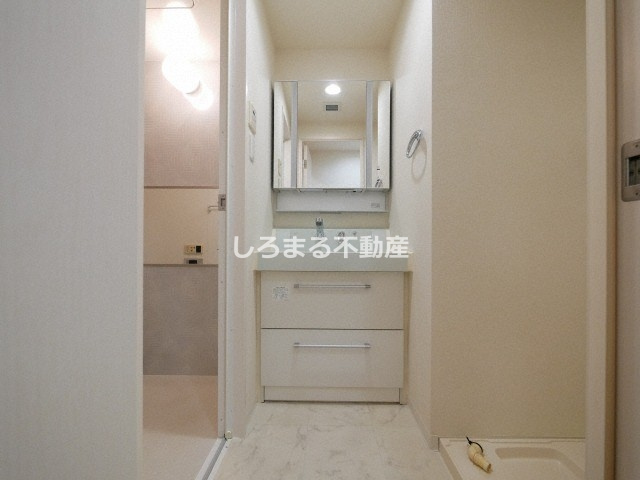 ブラービ南船場の洗面所