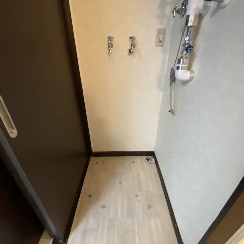 カトゥルのその他