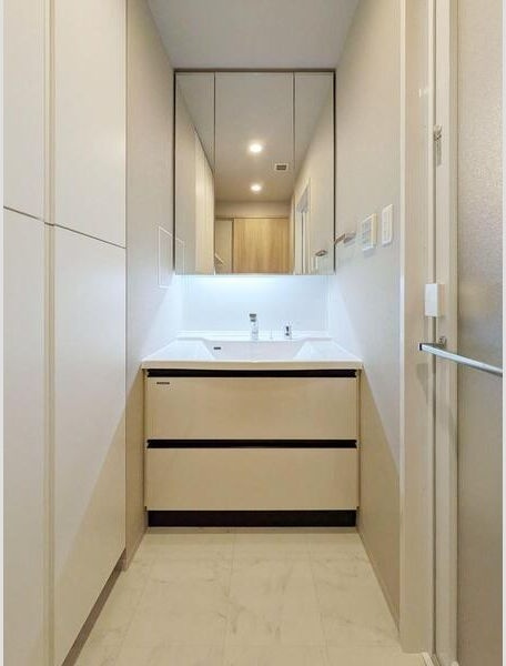 S-RESIDENCE天満橋arの洗面所