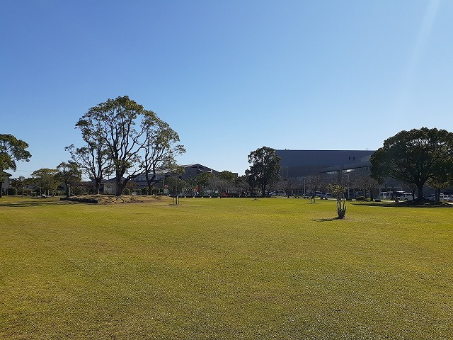 フォーリスト　ナチュラル　Ａのその他|その他