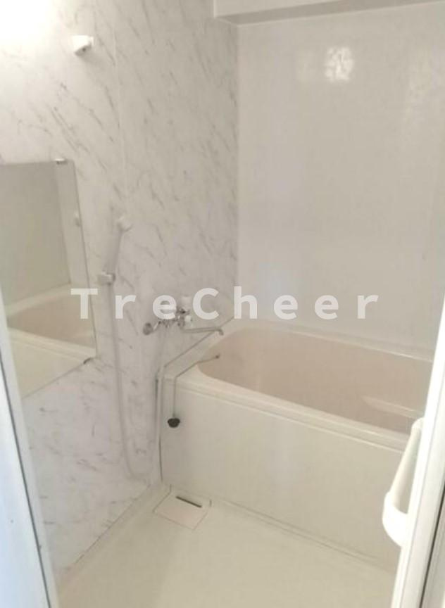 ヴィラグリーンロータスの浴室