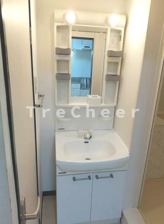 ヴィラグリーンロータスの独立洗面台