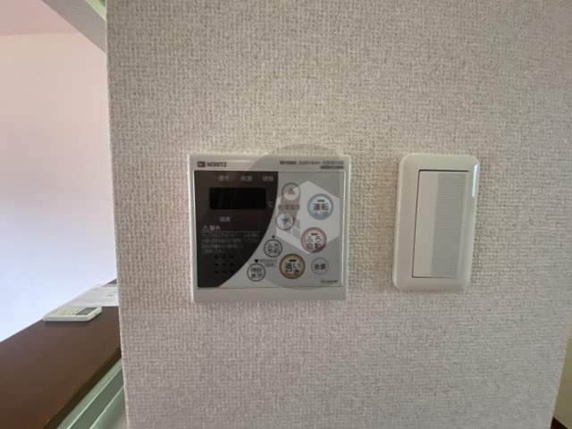 ドゥ・リュエルAのその他