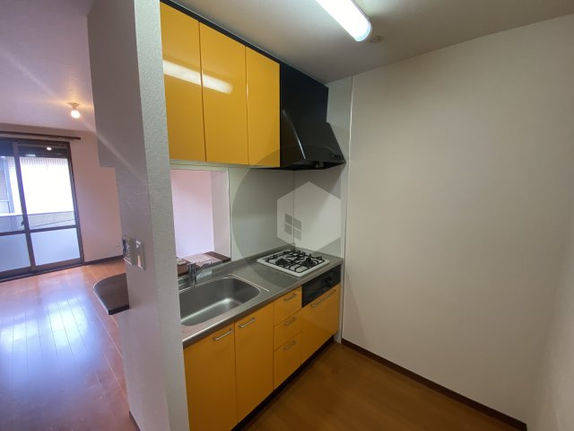 ドゥ・リュエルAのキッチン