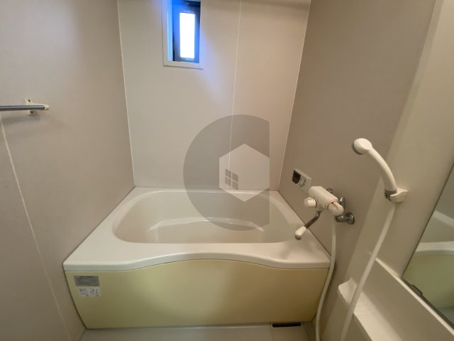 ドゥ・リュエルAの浴室