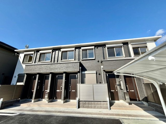 ステラータの外観