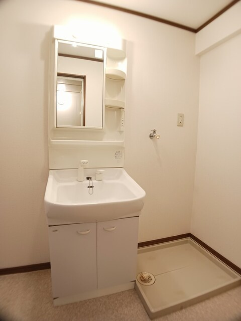 フォレストパレス五番館の洗面所