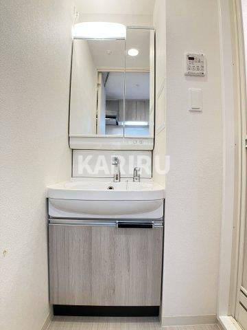 ララプレイス玉造パルクの洗面所