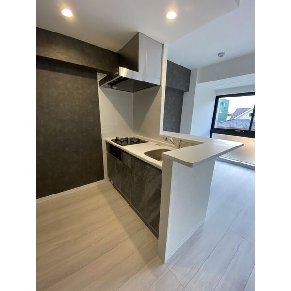 菊池郡菊陽町大字津久礼の賃貸マンションのキッチン