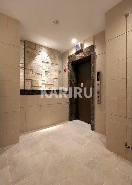 スプランディッド放出のその他共用部分