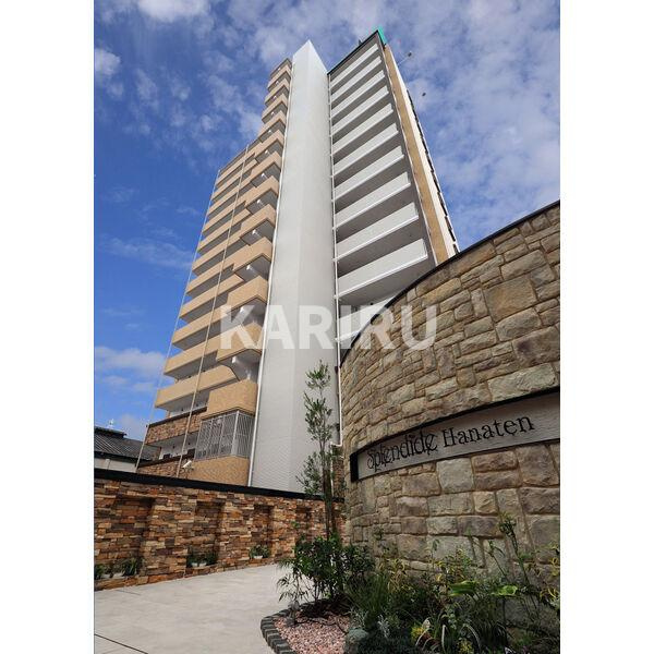 スプランディッド放出の外観