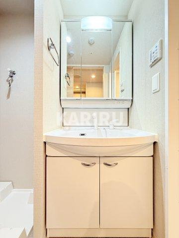 Gran Pino内淡路の洗面所