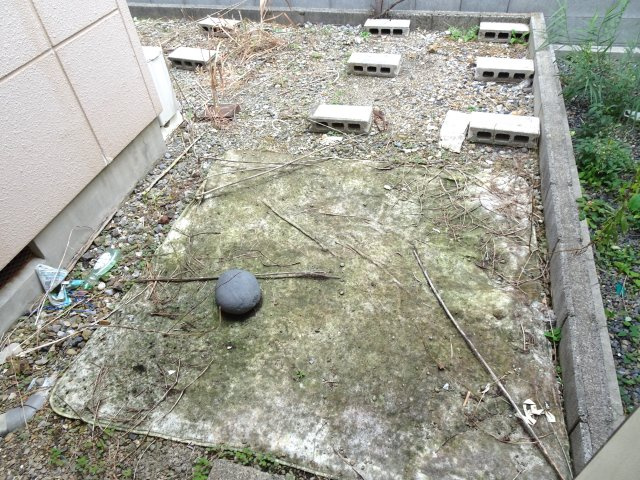 安田マンションの庭