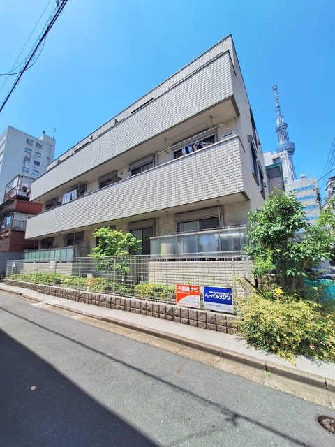 メゾン・パイン・ツリー