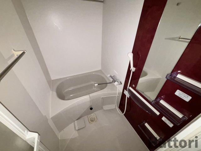 アドバンス難波ラシュレの浴室