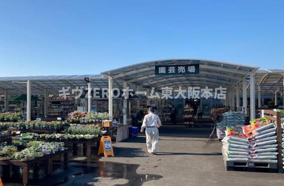 Lavie libre-Kの周辺