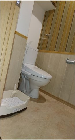 ★当社HP限定★　大阪市旭区　1棟売りマンション＜EASE.A4＞のトイレ