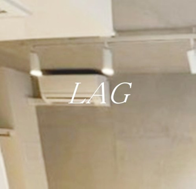 【その他】 | ルーナクレシェンテ川崎