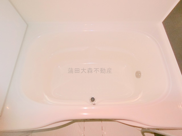 ガリシア西馬込の浴室