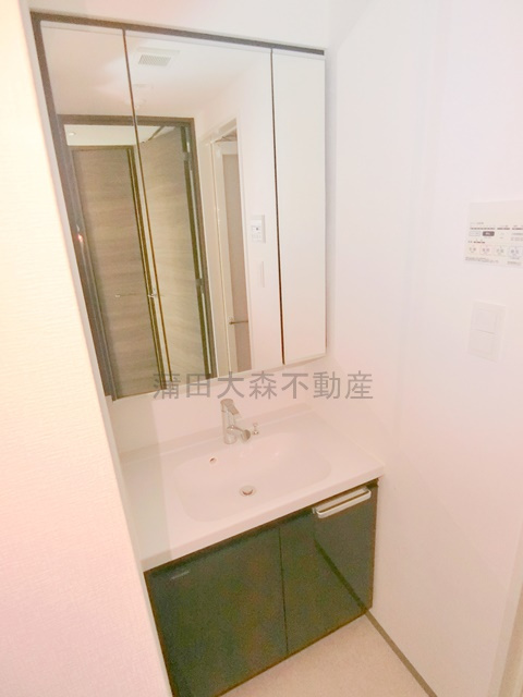 ガリシア西馬込の洗面所