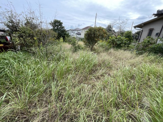 大網白里市北今泉926の庭