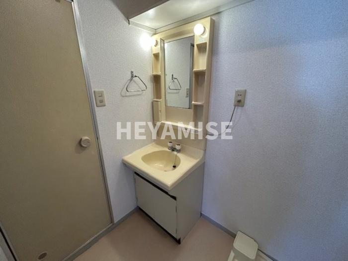 プレジール坂口A棟の洗面所