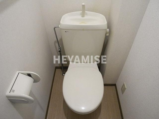 ロイヤルガーデン白岩A棟のトイレ|※室内画像は別号室のもの