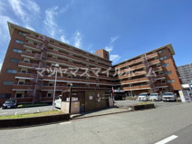 ピュアネスDoiの画像