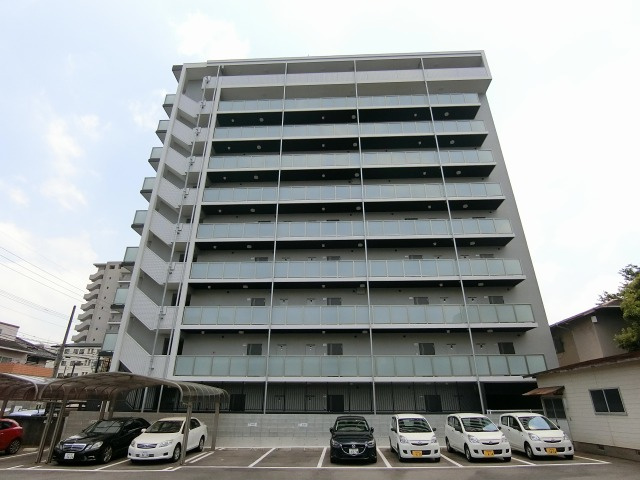 ウィリングコージー