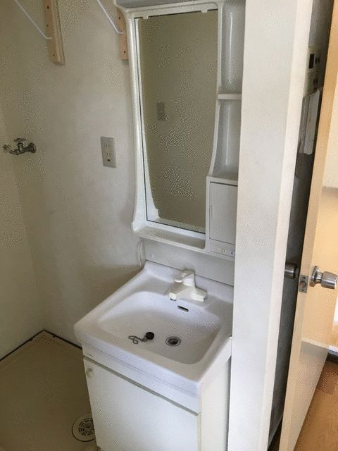 セントバレーA棟の洗面所