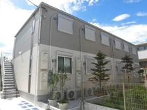 Miisa HOSHIKAWAの画像