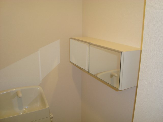 ＳＵＮ　ＨＥＩＭＥ　Ｍ＆Ｈ　Ⅱの収納|WC鏡付き収納