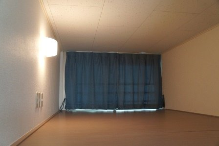 レオパレスグリーンハウスⅢのその他|ロフト。設備・仕様は号室により異なる為、現況を優先致します。