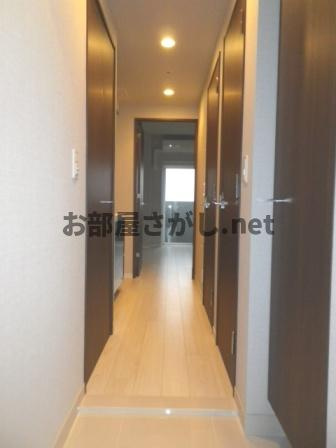 グラントゥルース巣鴨【ペットOK✕同棲OK✕駅近／12月中旬空き予定】の玄関|明るい玄関です