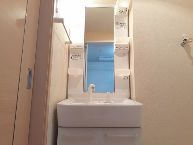 シャトーグリーンⅡの洗面所