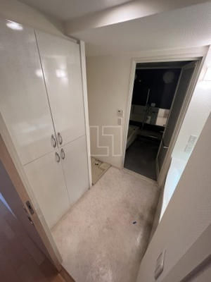 【洗面所】 | ラ・ヴィータ日本橋 | ラ・ヴィータ日本橋　洗面所