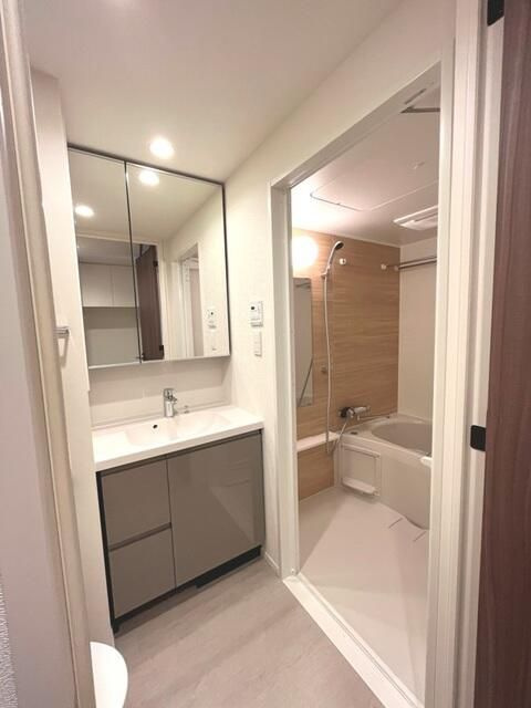 パークアクシス両国スクエアの独立洗面台